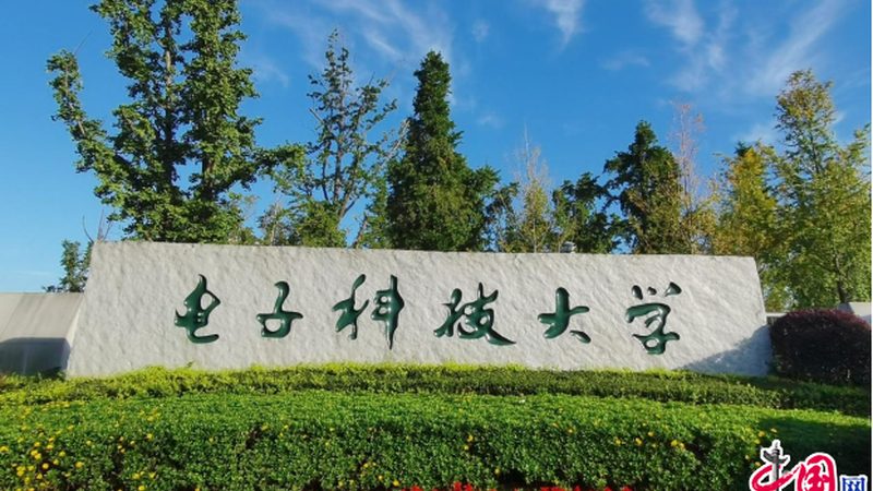 行业背景：模块化趋势下的供应商选择