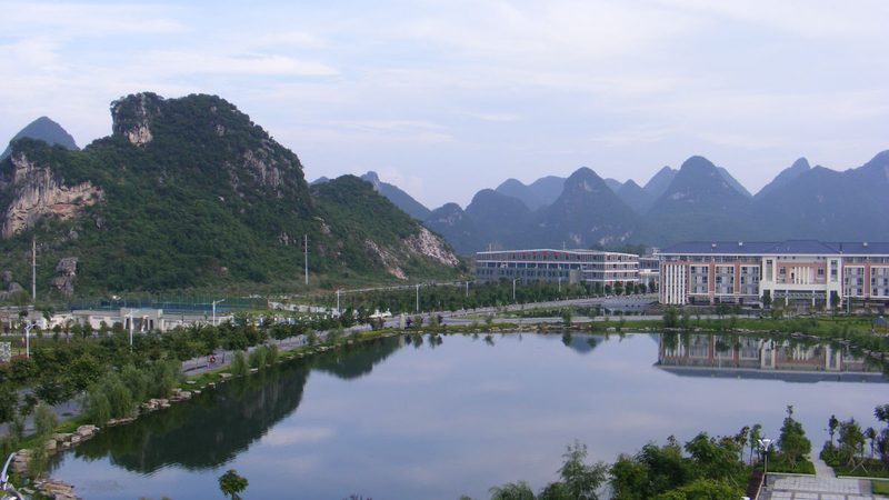 车载电子品牌盘点：揭秘十大品牌的技术实力与市场表现